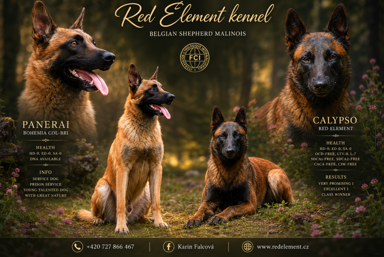 Litter "I" CLICK FOR PEDIGREE